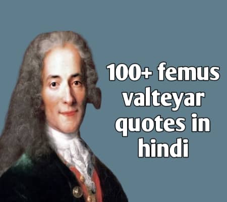 Voltaire Quotes In Hindi